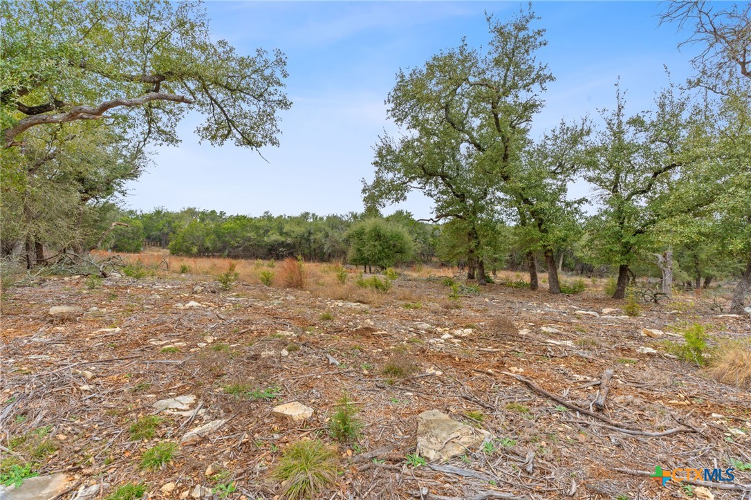 301 Lonesome Trail Property Photo 12