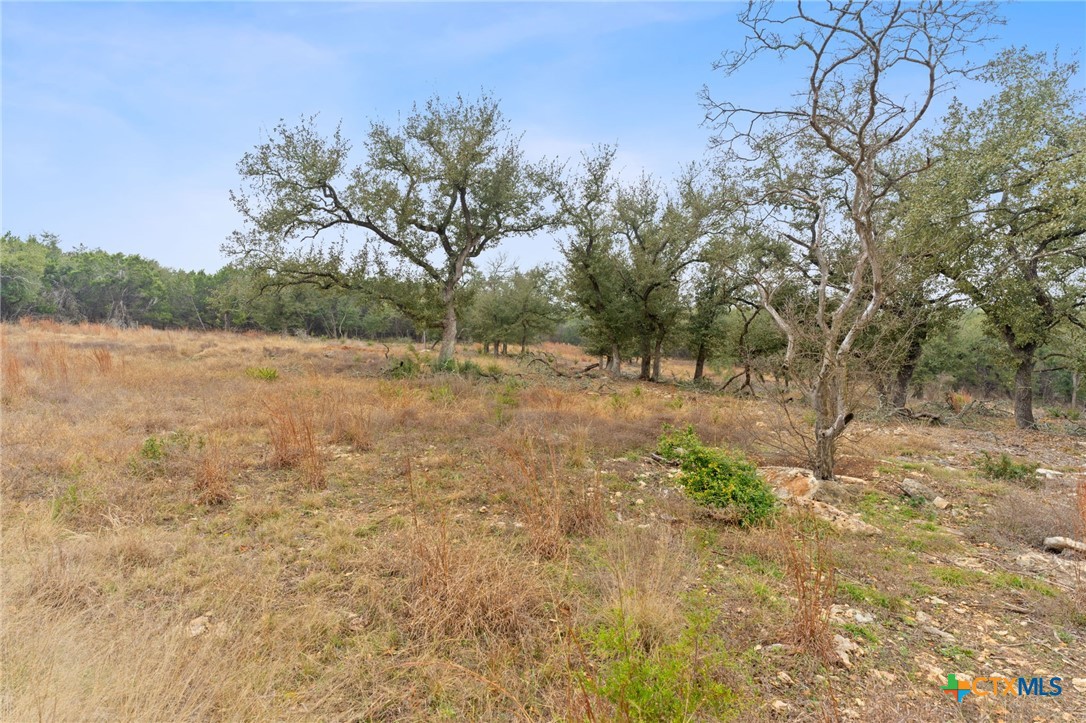 301 Lonesome Trail Property Photo 13