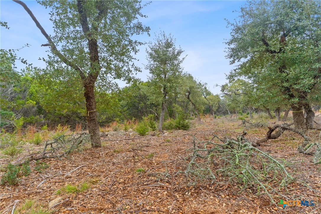 301 Lonesome Trail Property Photo 14