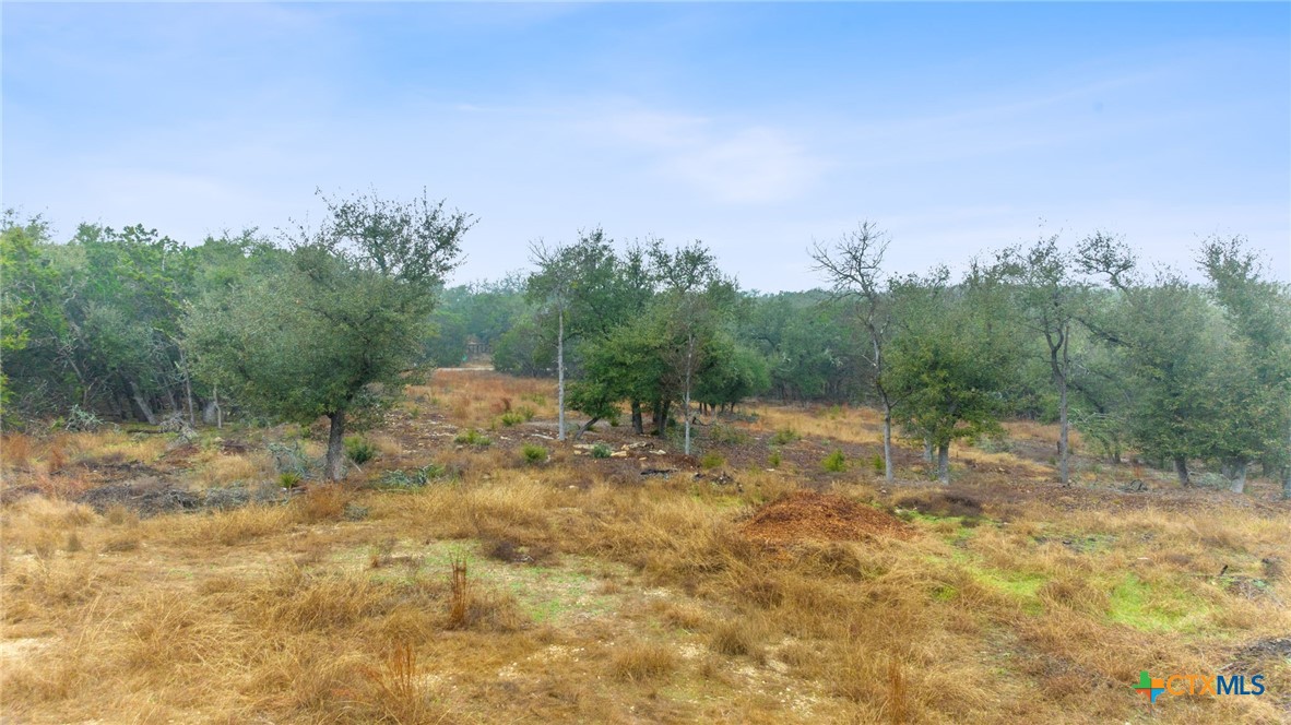 301 Lonesome Trail Property Photo 15