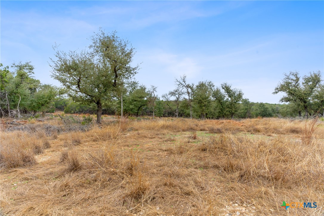 301 Lonesome Trail Property Photo 17