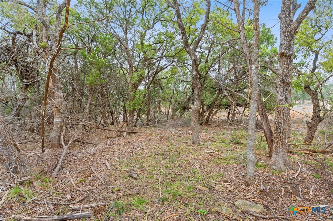 301 Lonesome Trail Property Photo 20