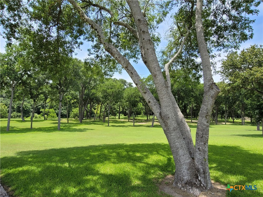 564 Cypress Valley Road Property Photo 45