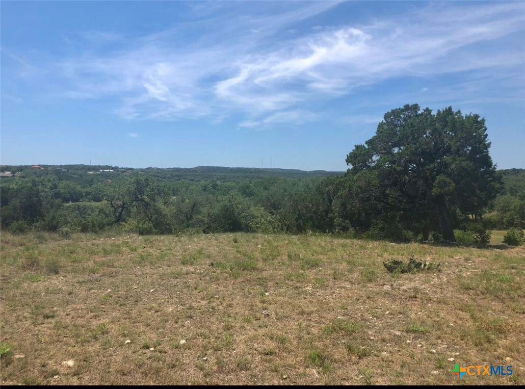 130 Double Tree Lane Property Photo 3