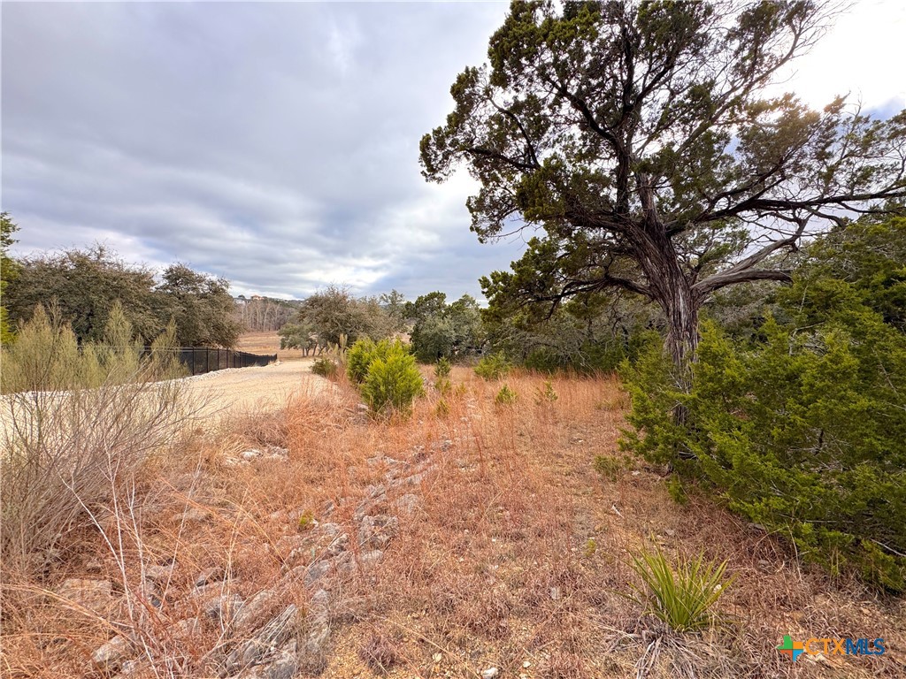 130 Double Tree Lane Property Photo 12