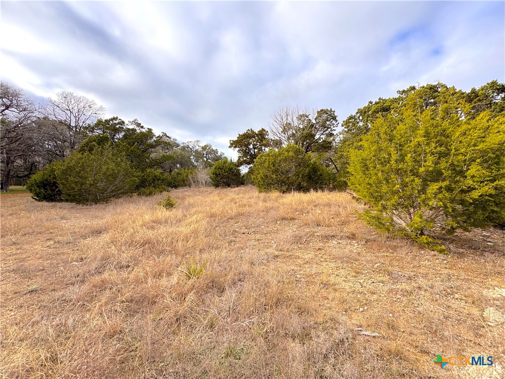 130 Double Tree Lane Property Photo 21