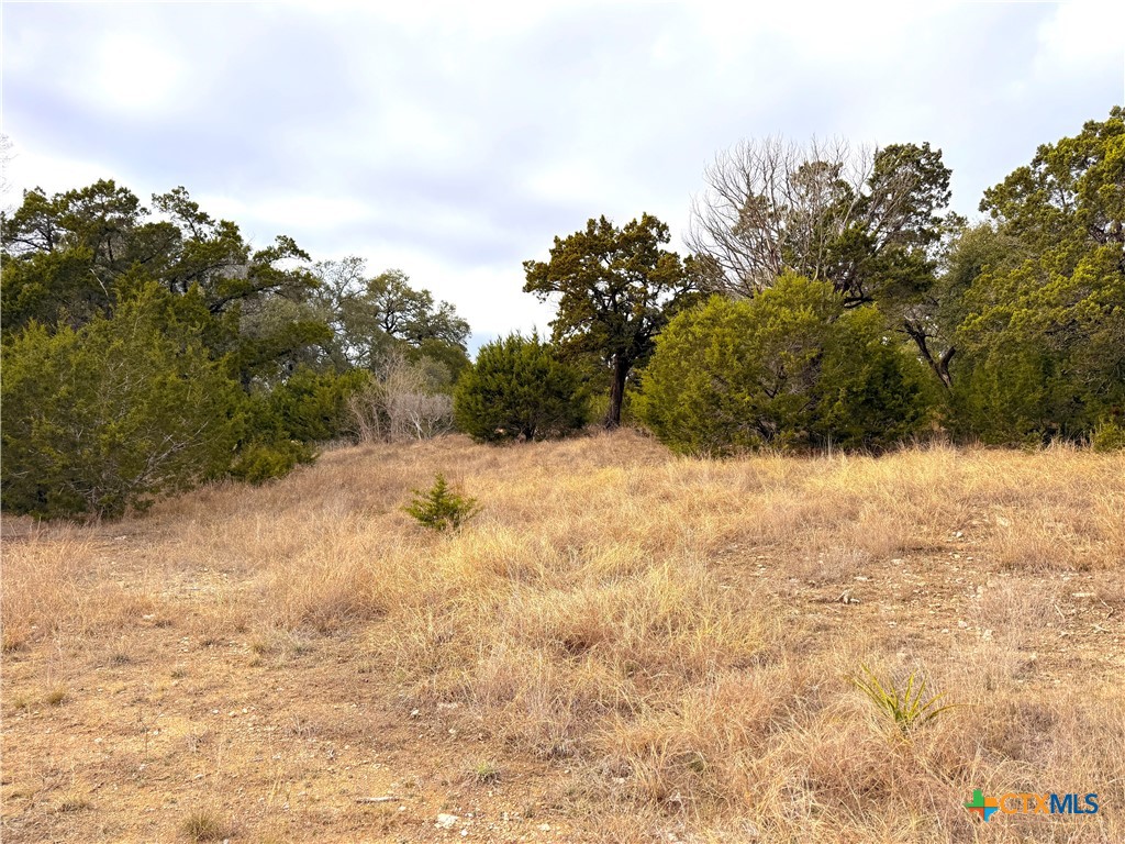 130 Double Tree Lane Property Photo 23