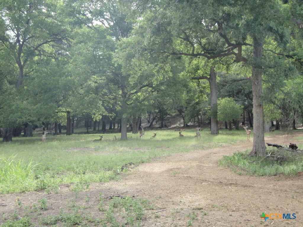 130 Double Tree Lane Property Photo 31