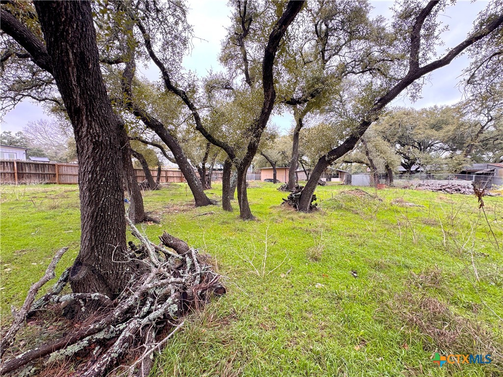 Tbd Irene Drive Property Photo 3