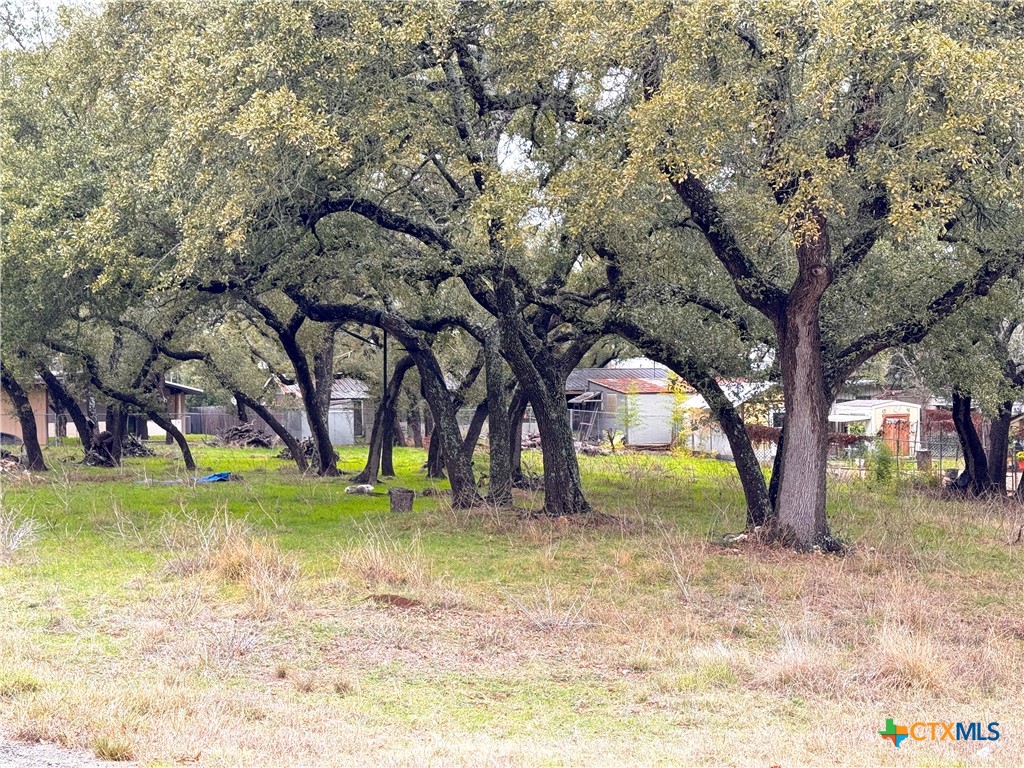 Tbd Irene Drive Property Photo 2
