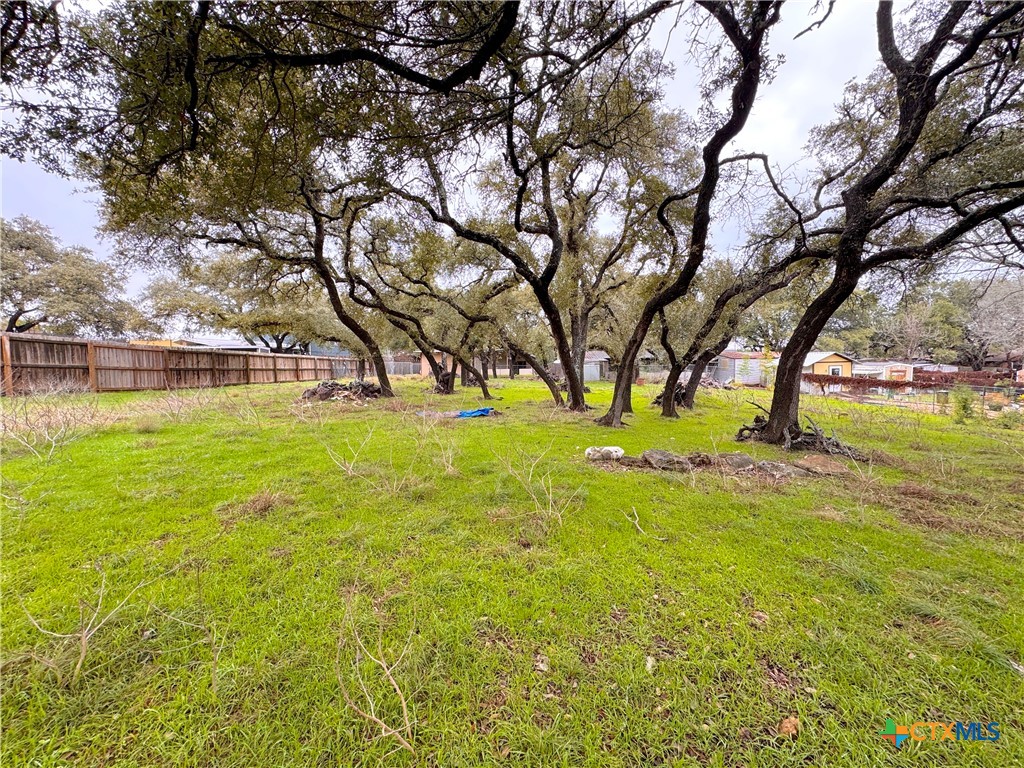 Tbd Irene Drive Property Photo 3