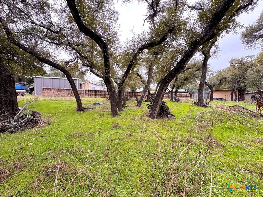 Tbd Irene Drive Property Photo 6