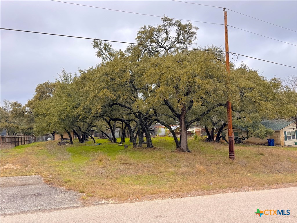 Tbd Irene Drive Property Photo 8