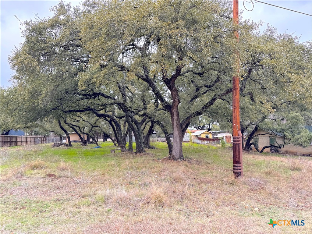 Tbd Irene Drive Property Photo 10