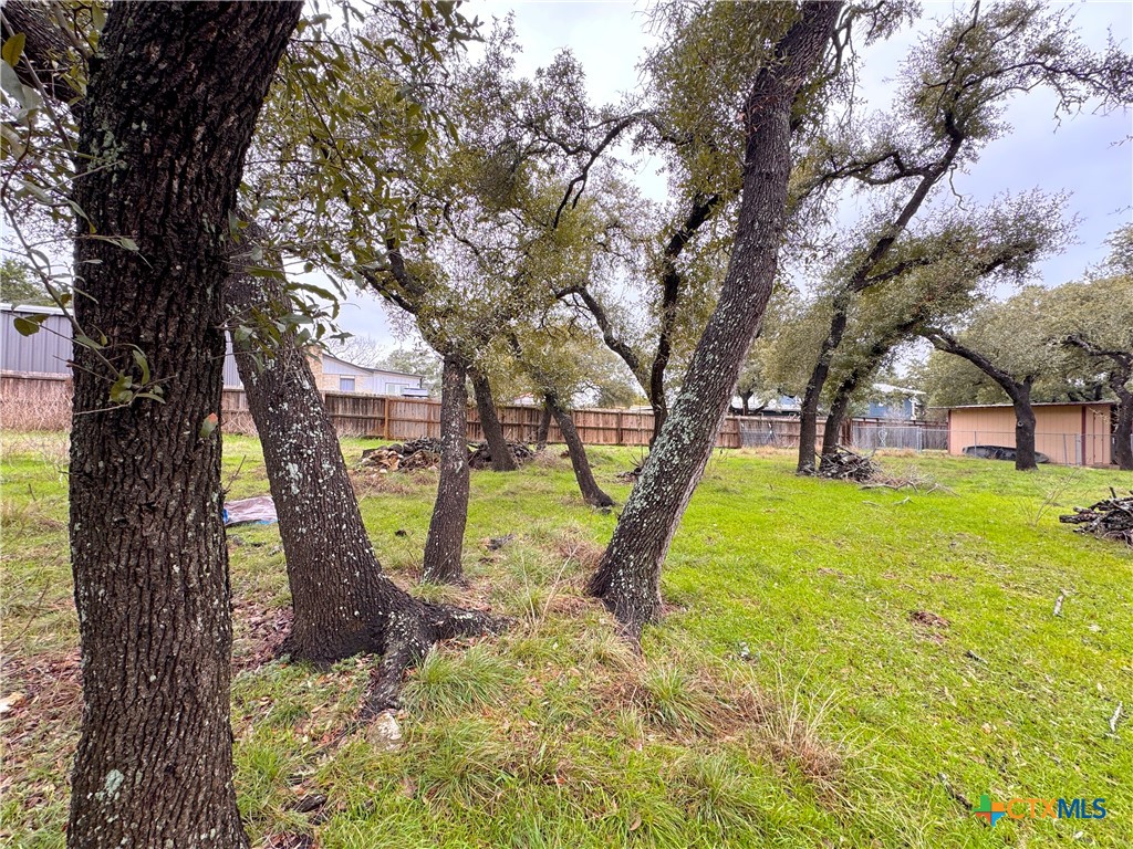 Tbd Irene Drive Property Photo 11