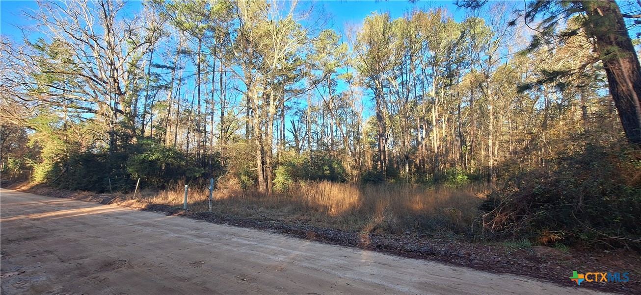Tbd County Road 1655 Property Photo 4