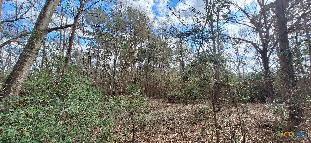Tbd County Road 1655 Property Photo 6