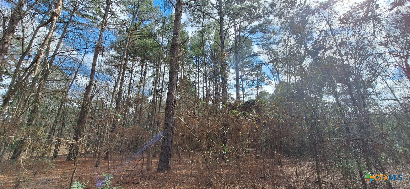 Tbd County Road 1655 Property Photo 8