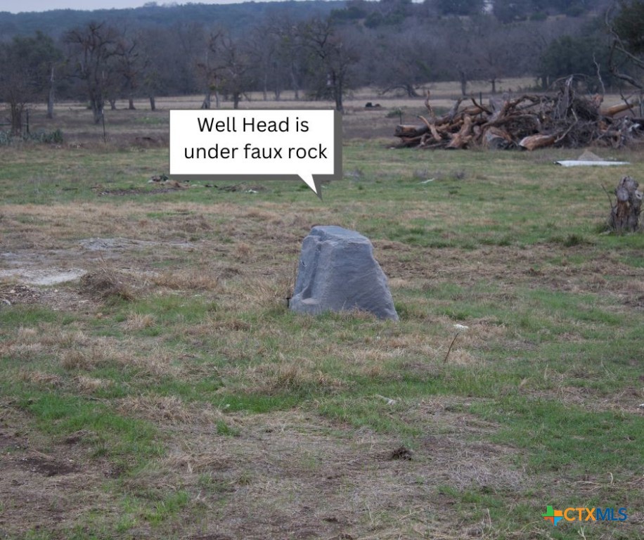 13411 Fm 2843 Property Photo 20