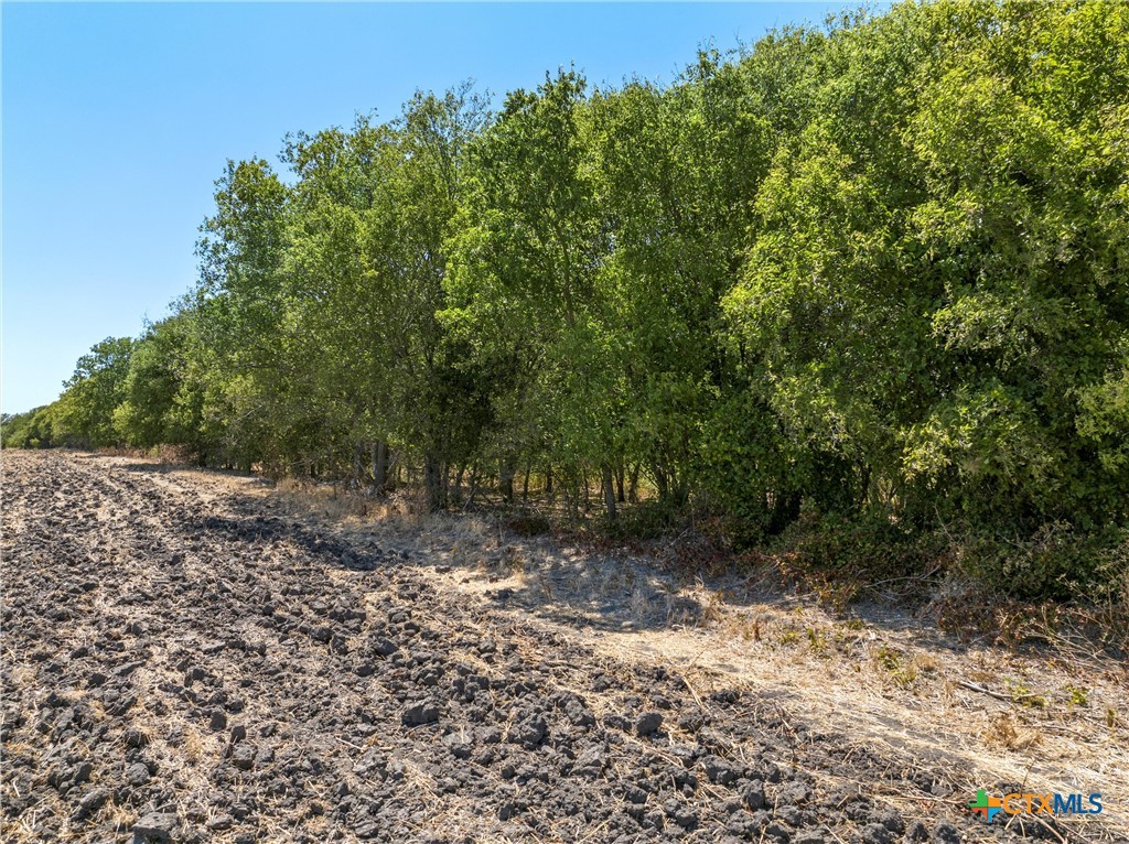 Tbd +/- 12.5 Acres T M West Parkway Property Photo 5