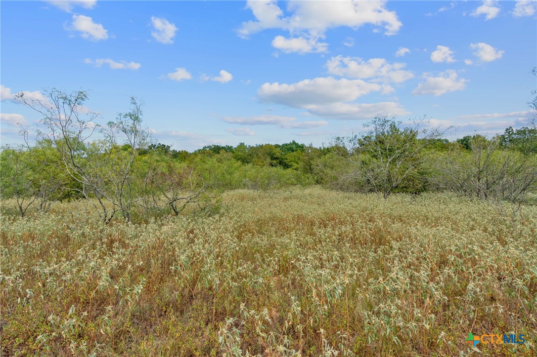 689 Chamberlin Road Property Photo 30