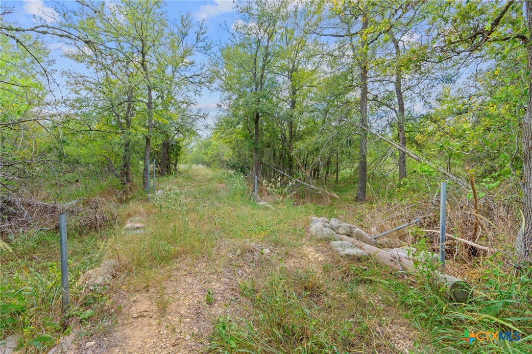 689 Chamberlin Road Property Photo 31