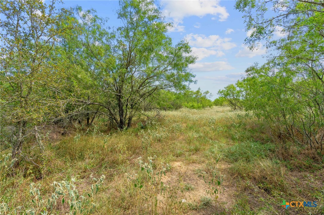 689 Chamberlin Road Property Photo 33