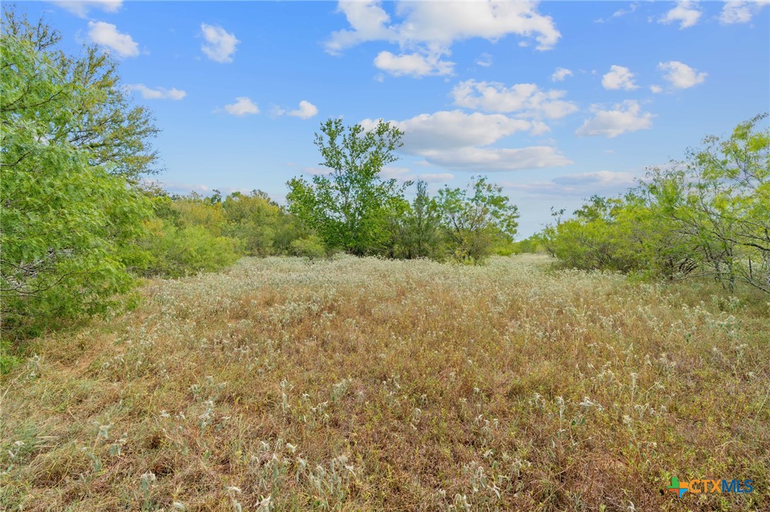 689 Chamberlin Road Property Photo 34