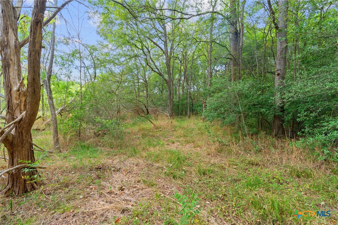689 Chamberlin Road Property Photo 39