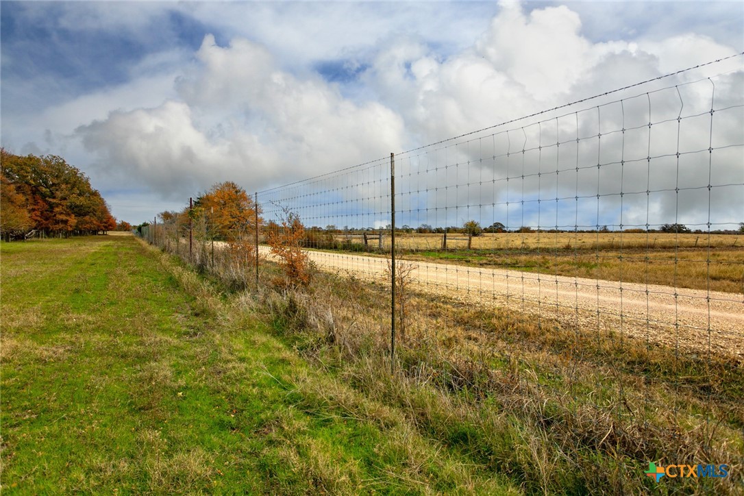Tbd County Road 259 Property Photo 8