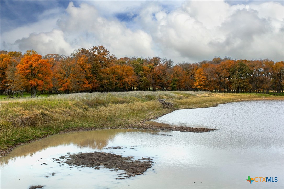 Tbd County Road 259 Property Photo 9