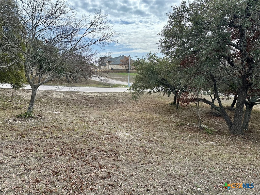 Lot 24 Andy's Pt Point Property Photo 2