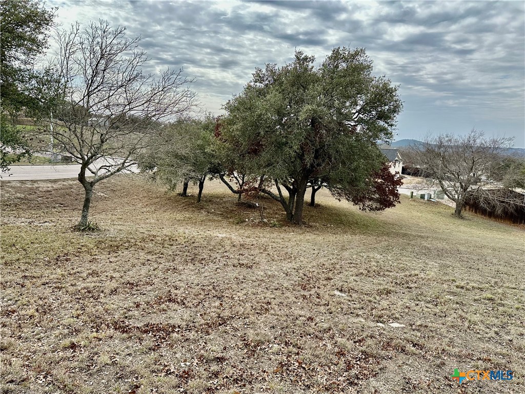 Lot 24 Andy's Pt Point Property Photo 4