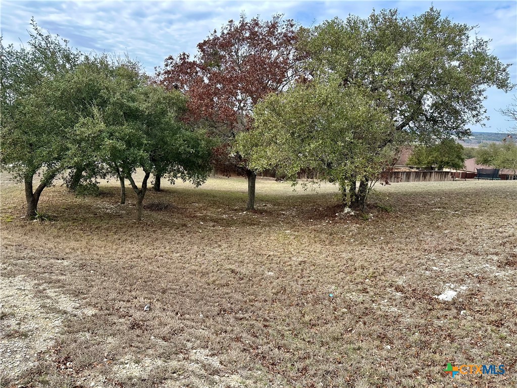 Lot 24 Andy's Pt Point Property Photo 6