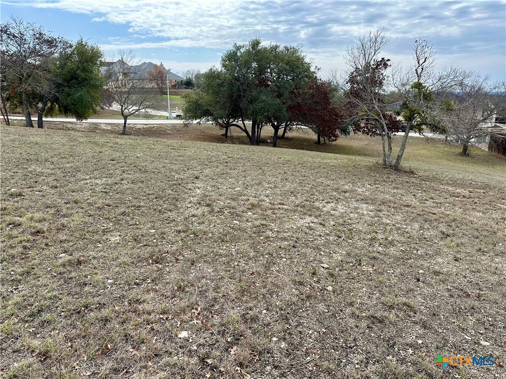 Lot 24 Andy's Pt Point Property Photo 7