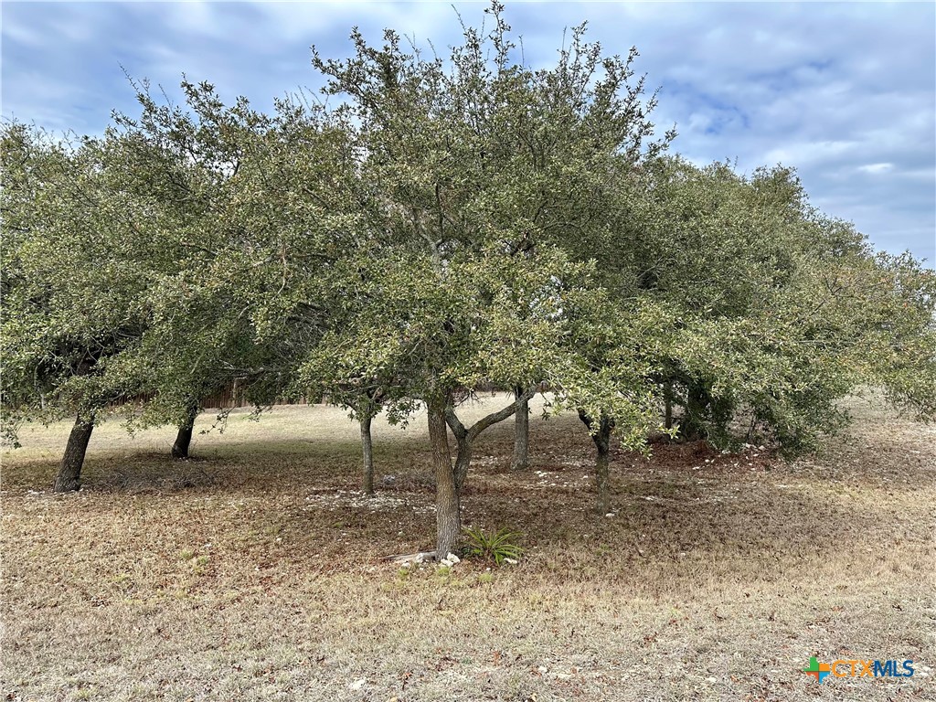 Lot 24 Andy's Pt Point Property Photo 8