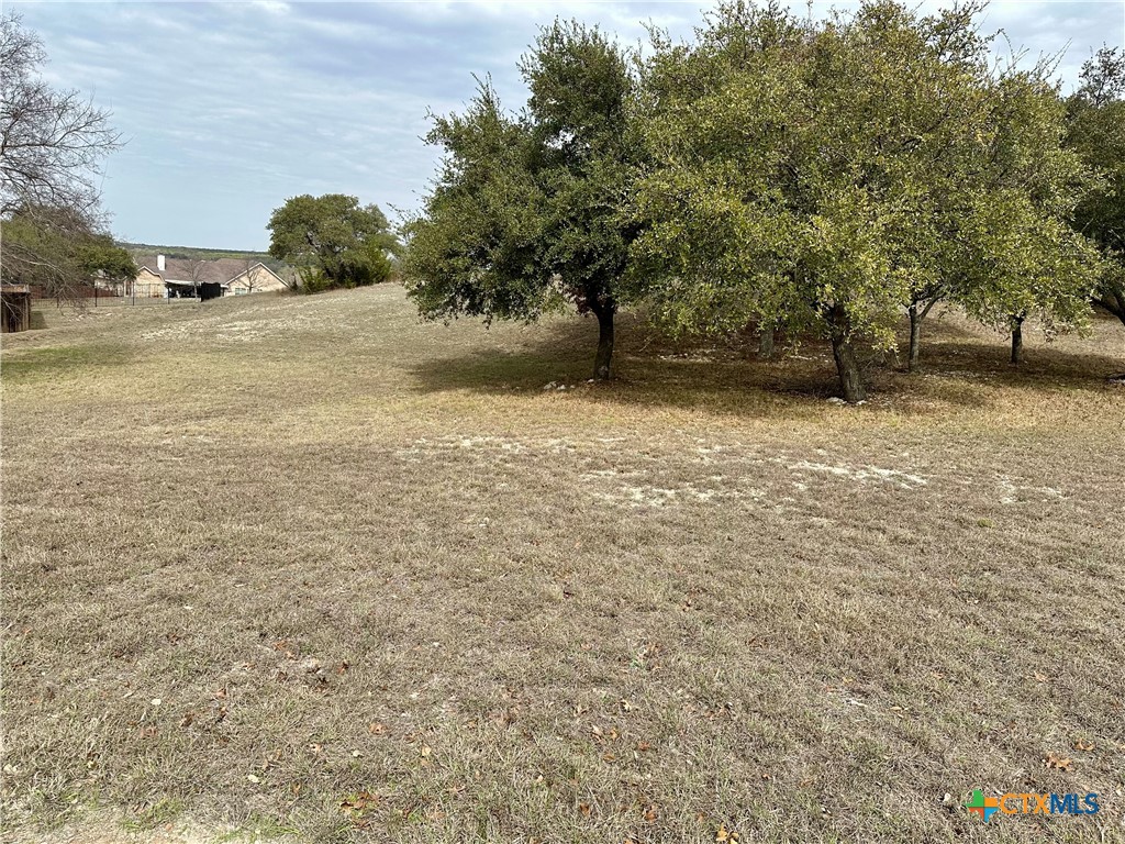 Lot 24 Andy's Pt Point Property Photo 9