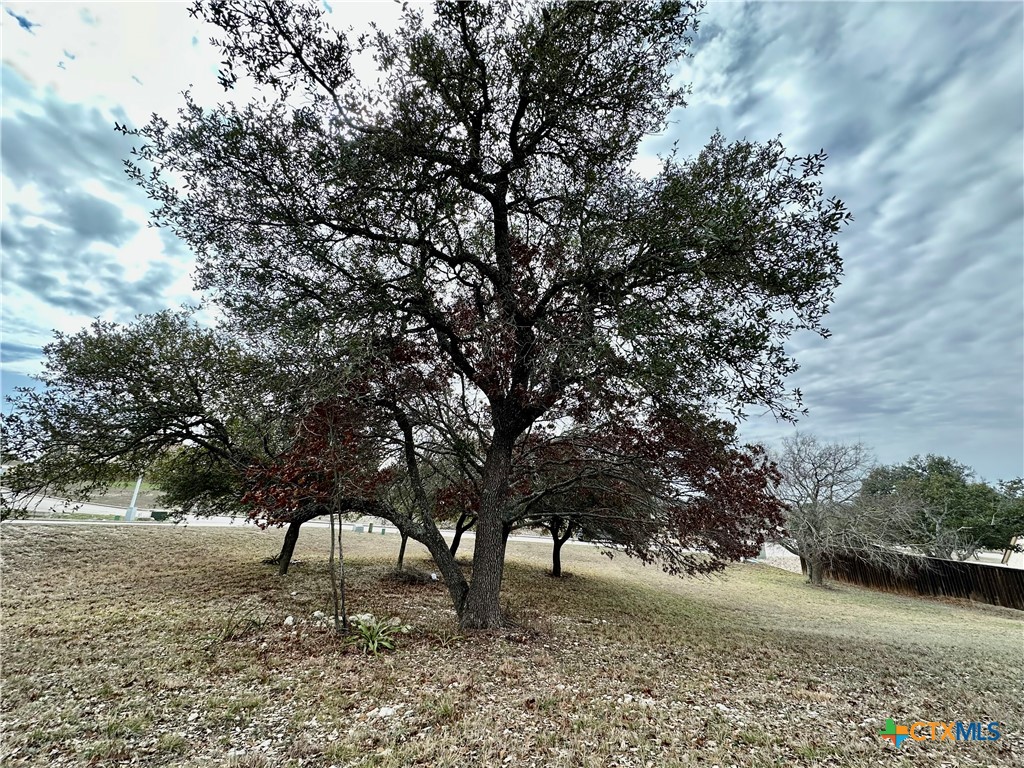 Lot 24 Andy's Pt Point Property Photo 11