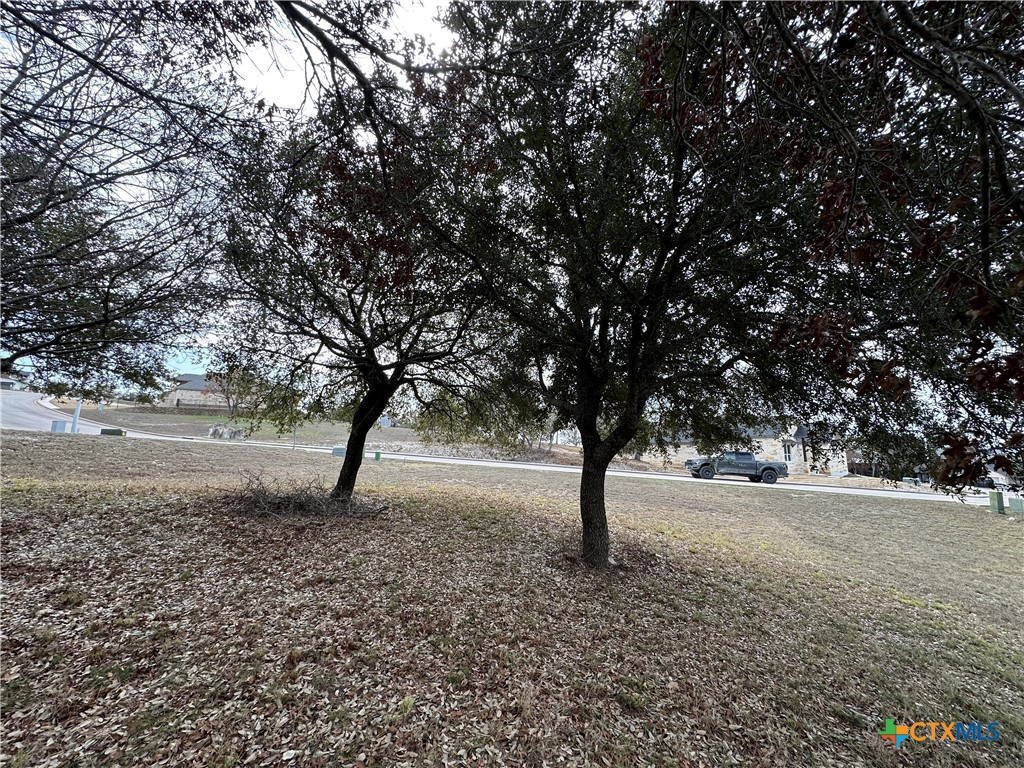 Lot 24 Andy's Pt Point Property Photo 12