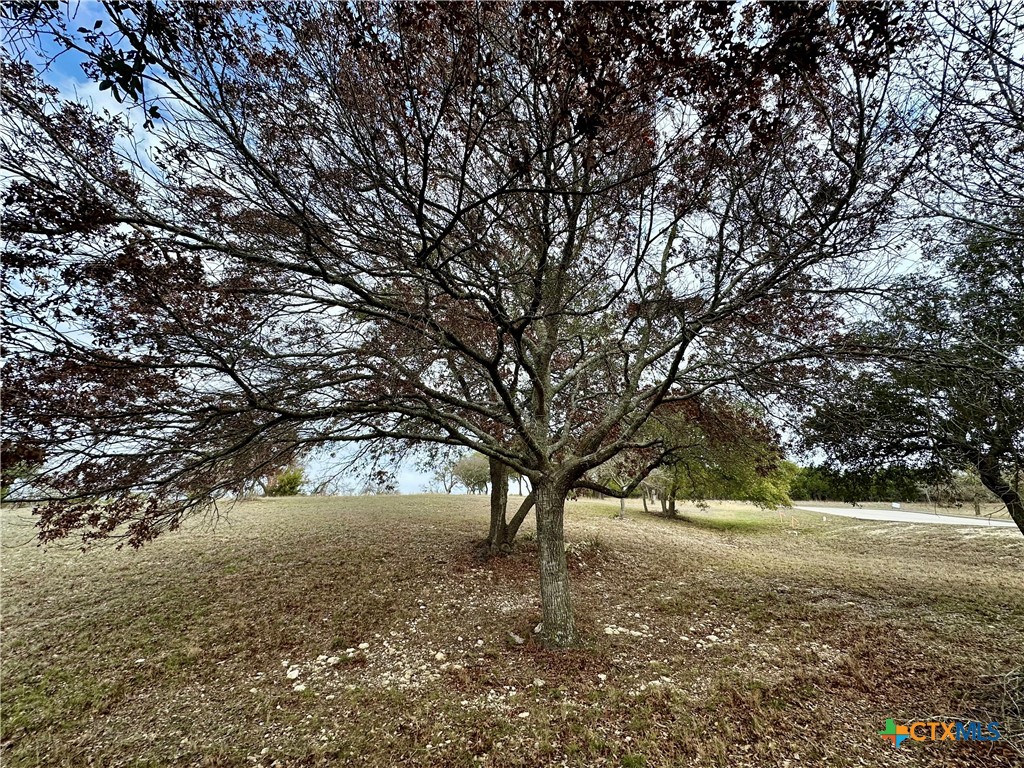 Lot 24 Andy's Pt Point Property Photo 13