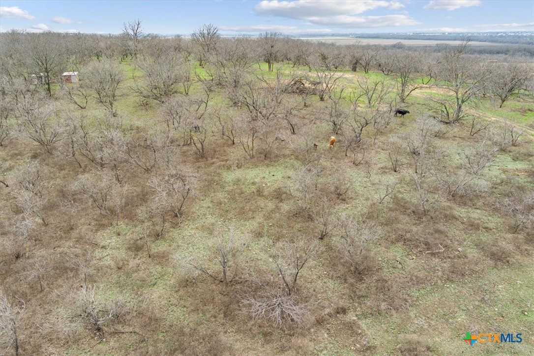 6947 Moody Road Property Photo 6