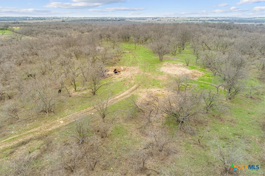 6947 Moody Road Property Photo 7