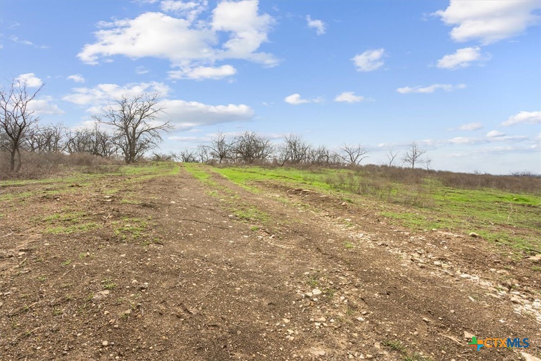 6947 Moody Road Property Photo 8