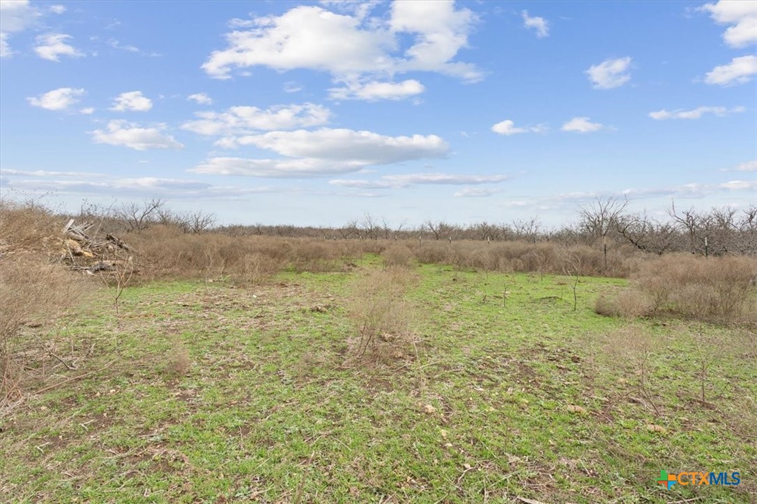 6947 Moody Road Property Photo 10