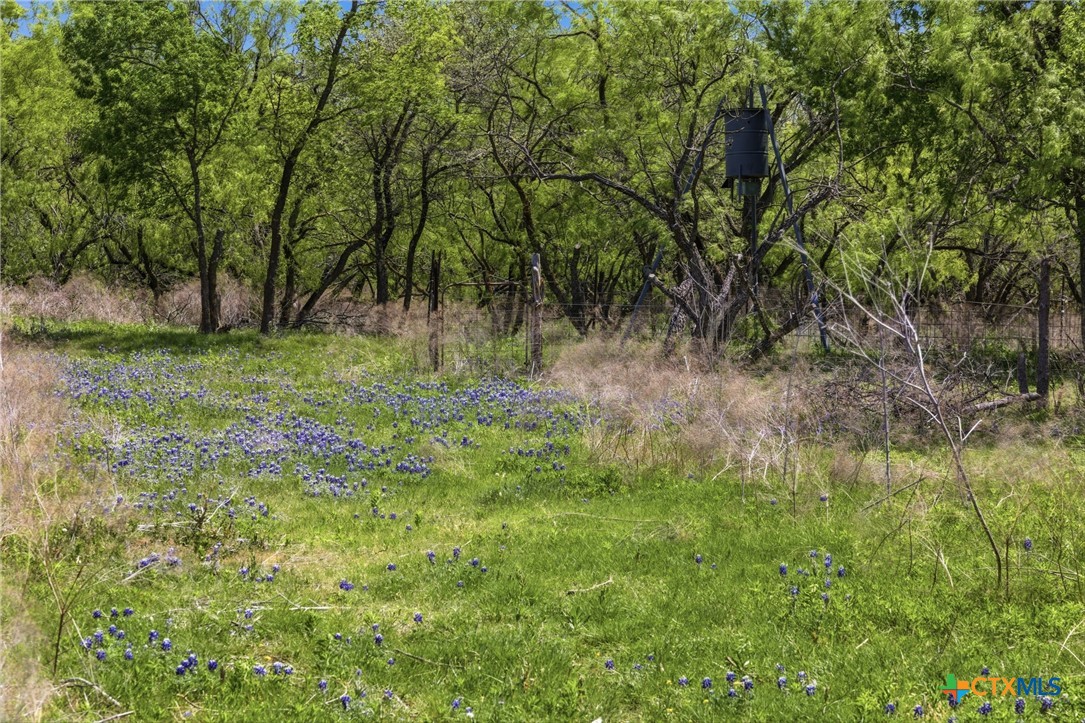 6947 Moody Road Property Photo 17