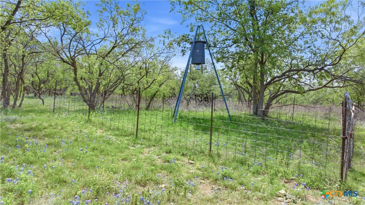 6947 Moody Road Property Photo 18