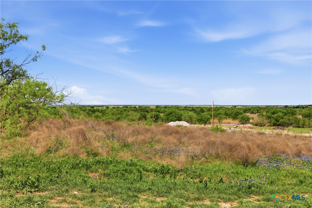 6947 Moody Road Property Photo 22