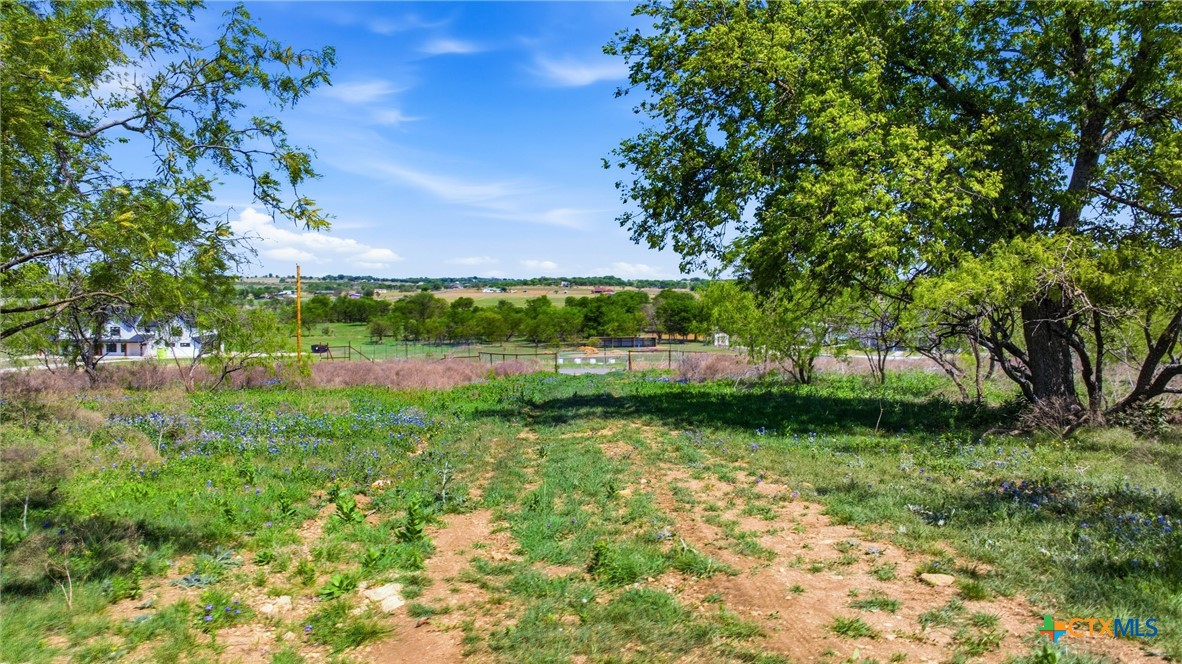 6947 Moody Road Property Photo 25