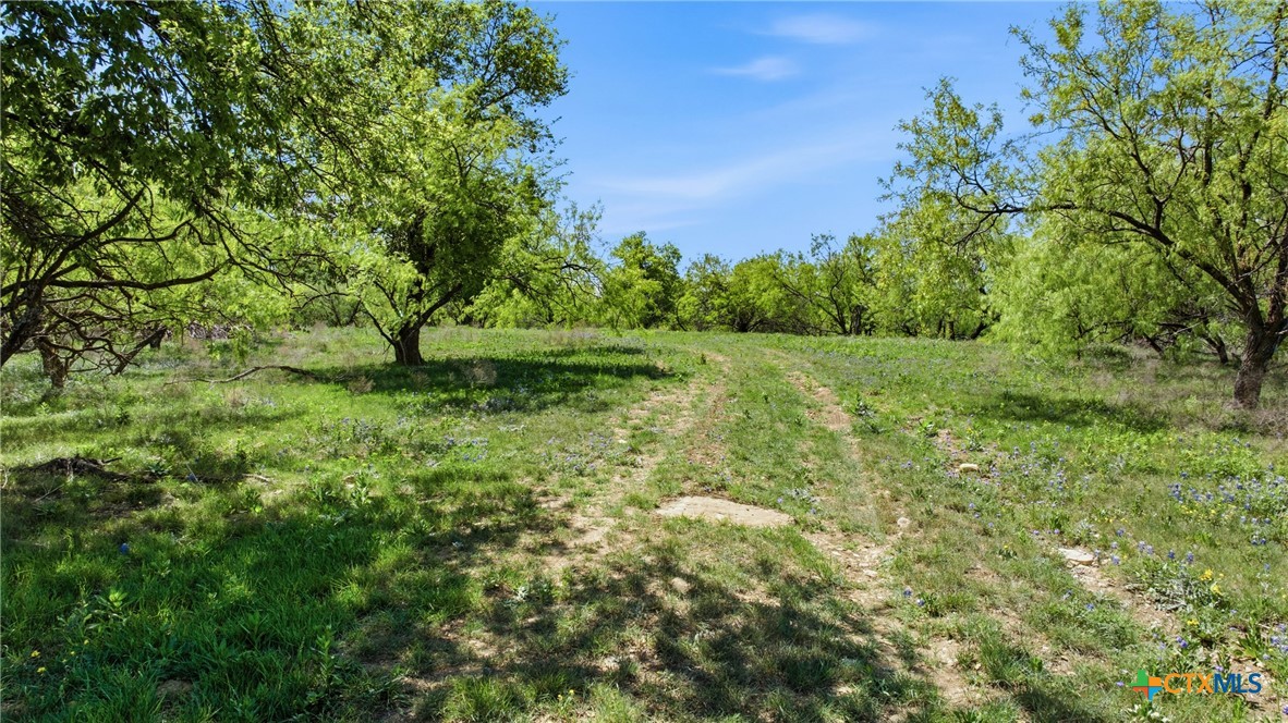 6947 Moody Road Property Photo 26