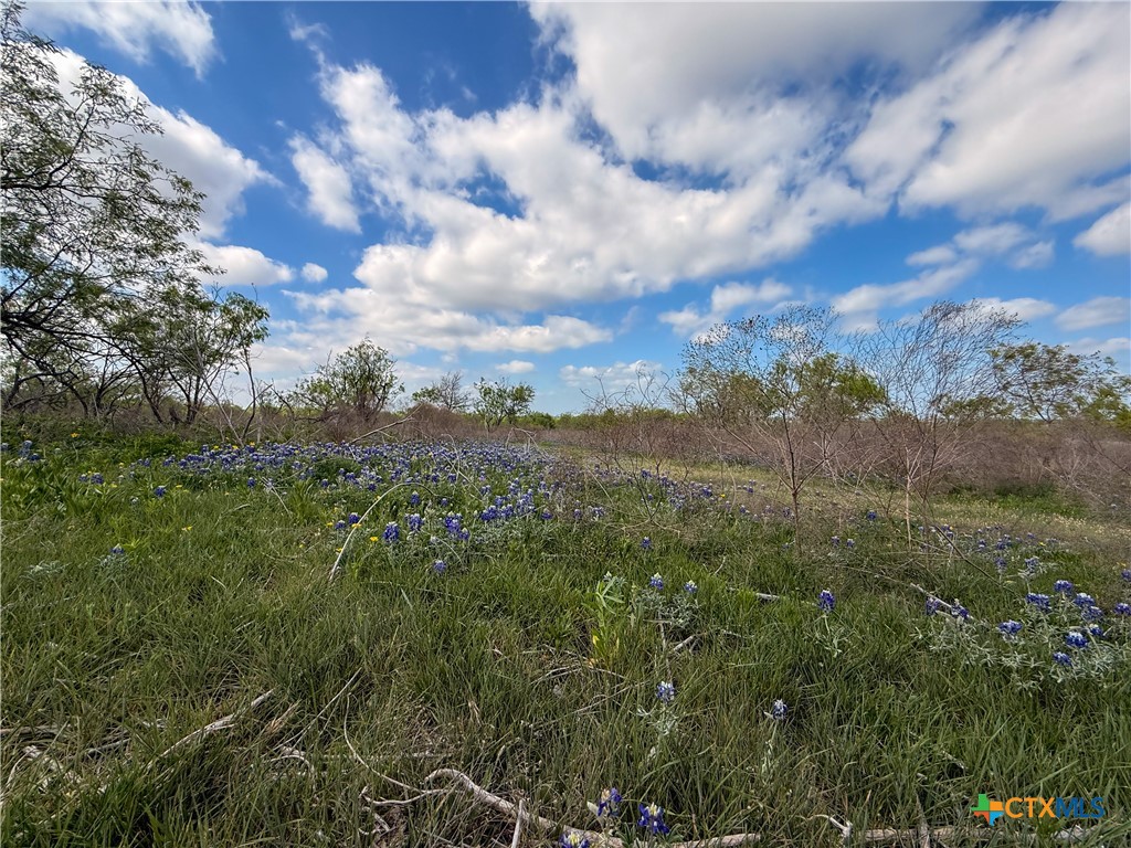 6947 Moody Road Property Photo 27